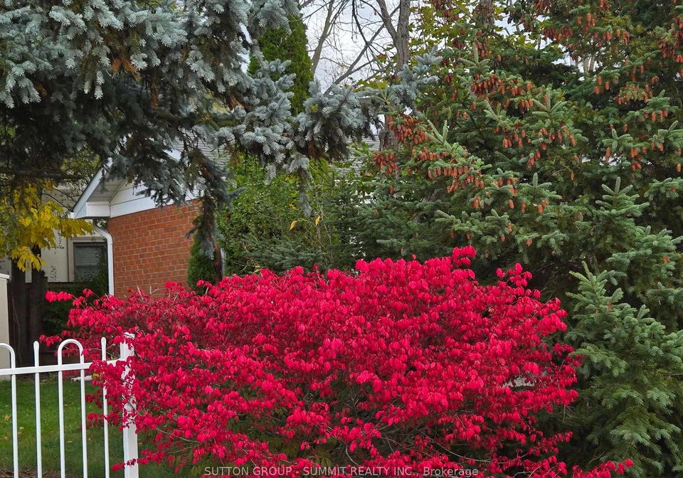 515-trafford-crescent-oakville-ontario-w12495774