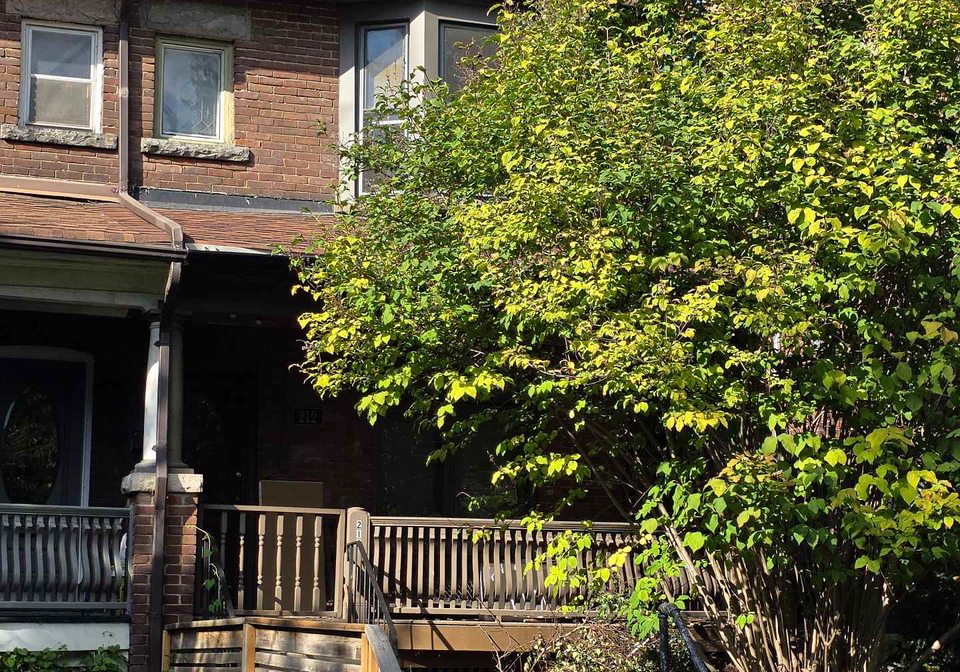 212-pearson-avenue-toronto-ontario-w12506850