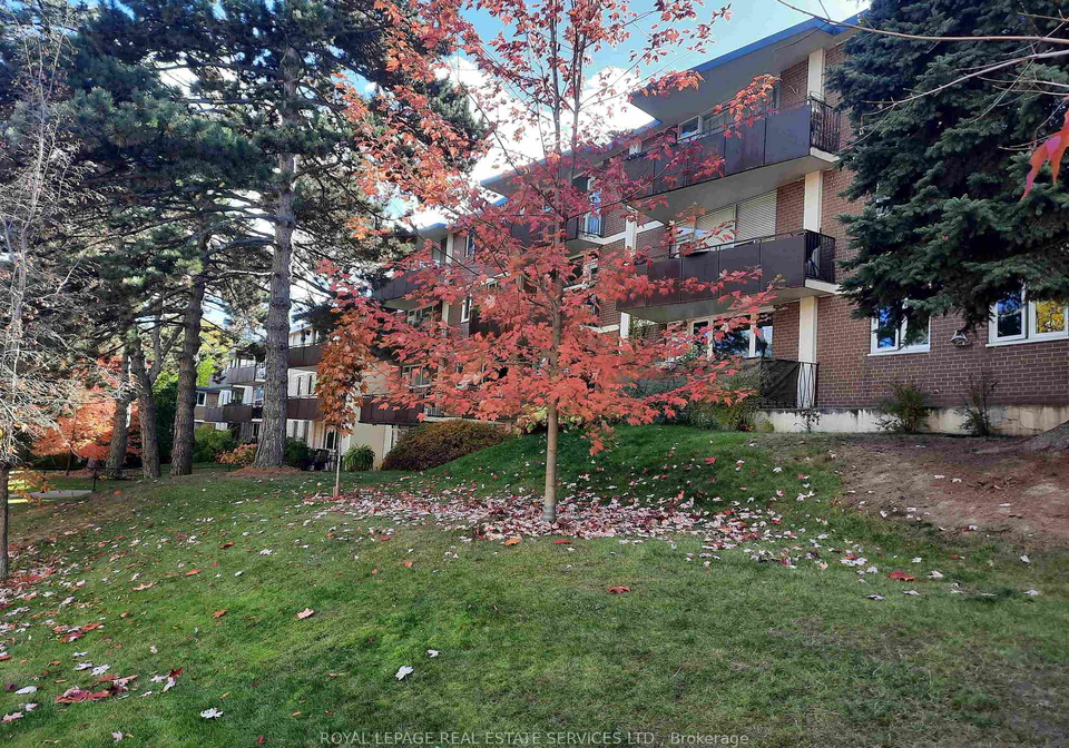 100-coe-hill-drive-toronto-ontario-w12517474