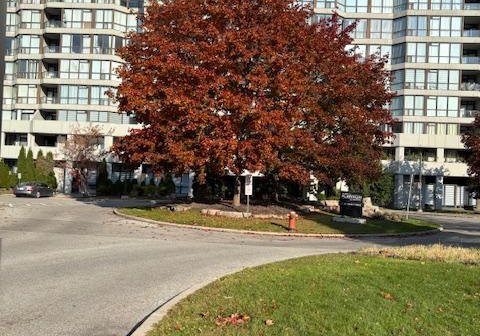 3-rowntree-road-etobicoke-ontario-w12525846