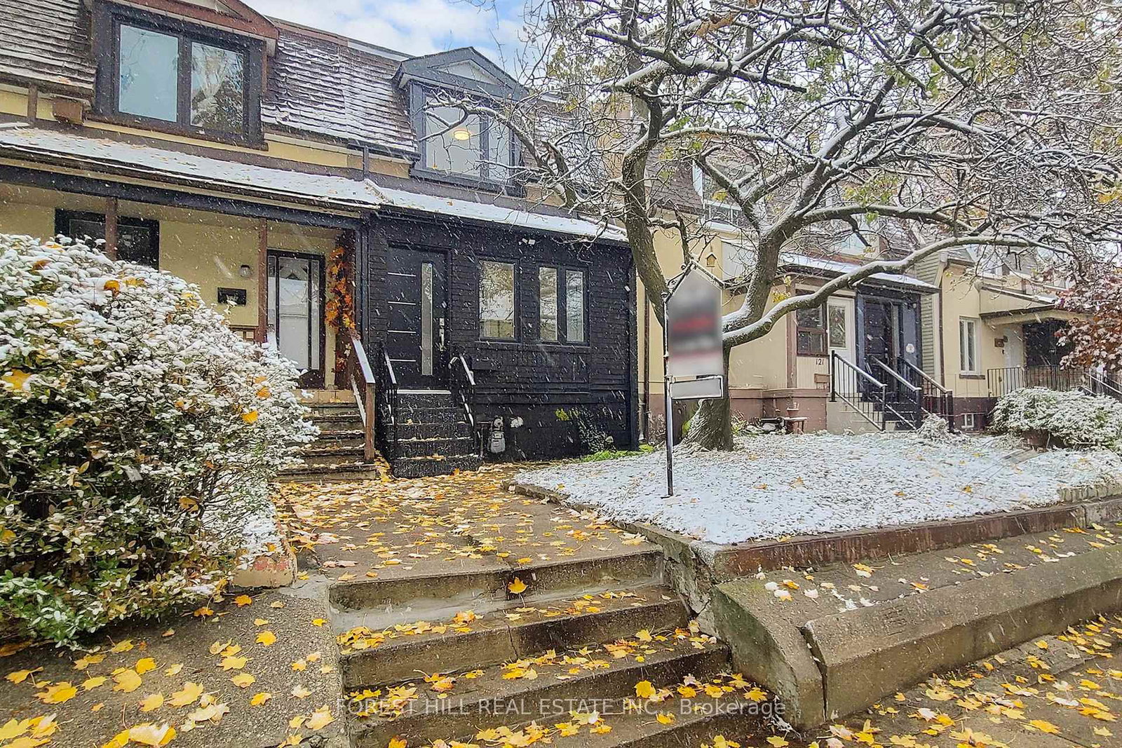 123-laughton-avenue-toronto-ontario-w12533492