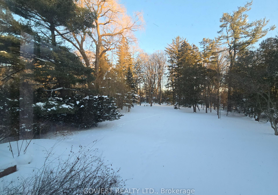 62-pinewood-trail-mississauga-ontario-w12535064