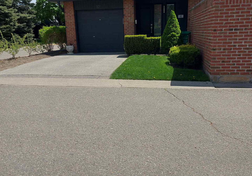 20-mineola-road-e-mississauga-ontario-w12553716