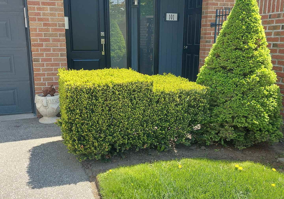 20-mineola-road-e-mississauga-ontario-w12553716