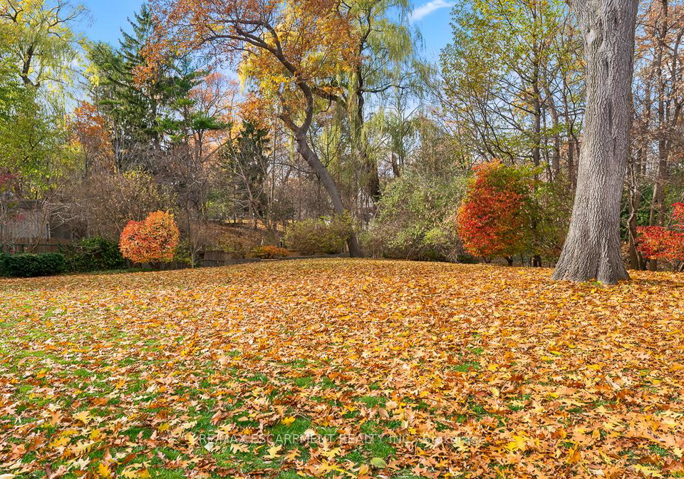65-harborn-road-mississauga-ontario-w12558164