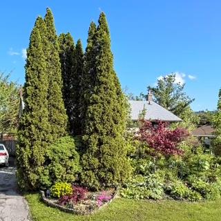 217-martha-crescent-caledon-ontario-w12560394