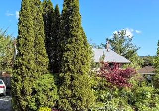 217-martha-crescent-caledon-ontario-w12560394