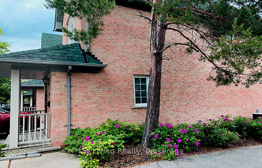 2955-thomas-street-mississauga-ontario-w12564314