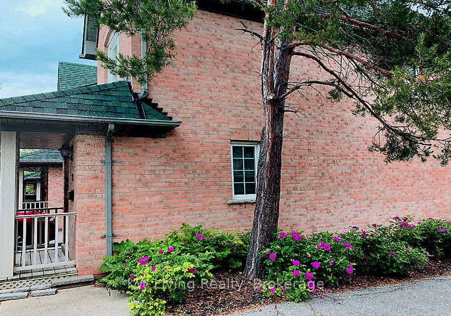 2955-thomas-street-mississauga-ontario-w12564314