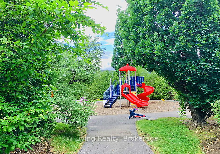 2955-thomas-street-mississauga-ontario-w12564314