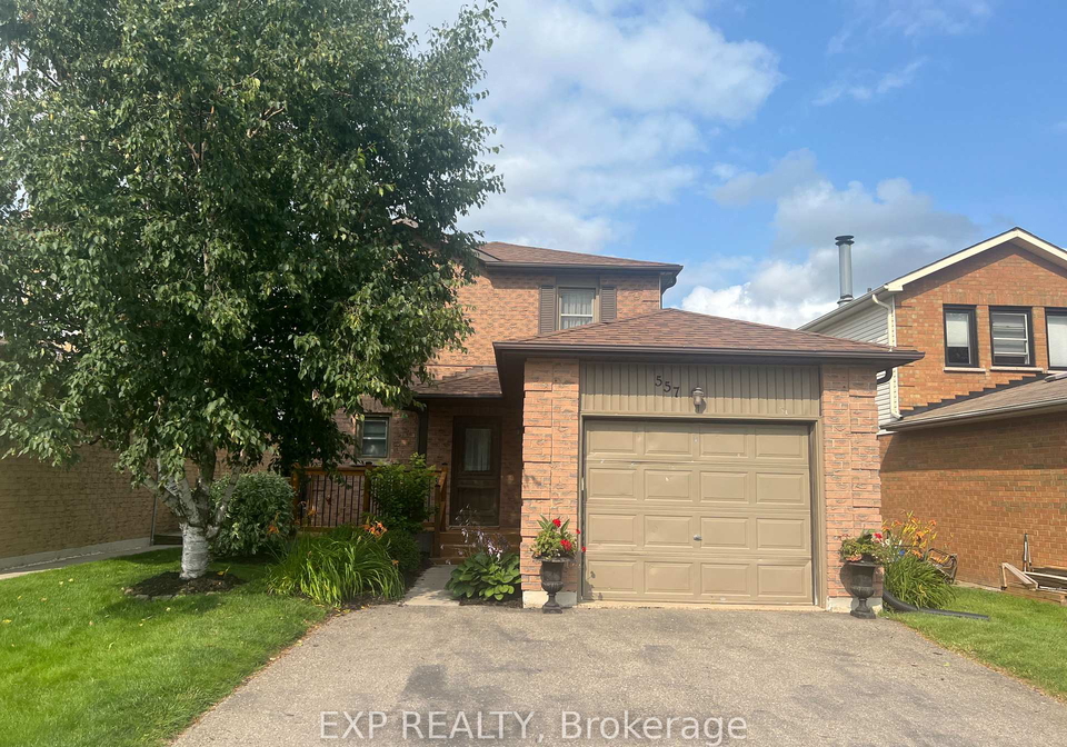 557-college-avenue-orangeville-ontario-w12629668