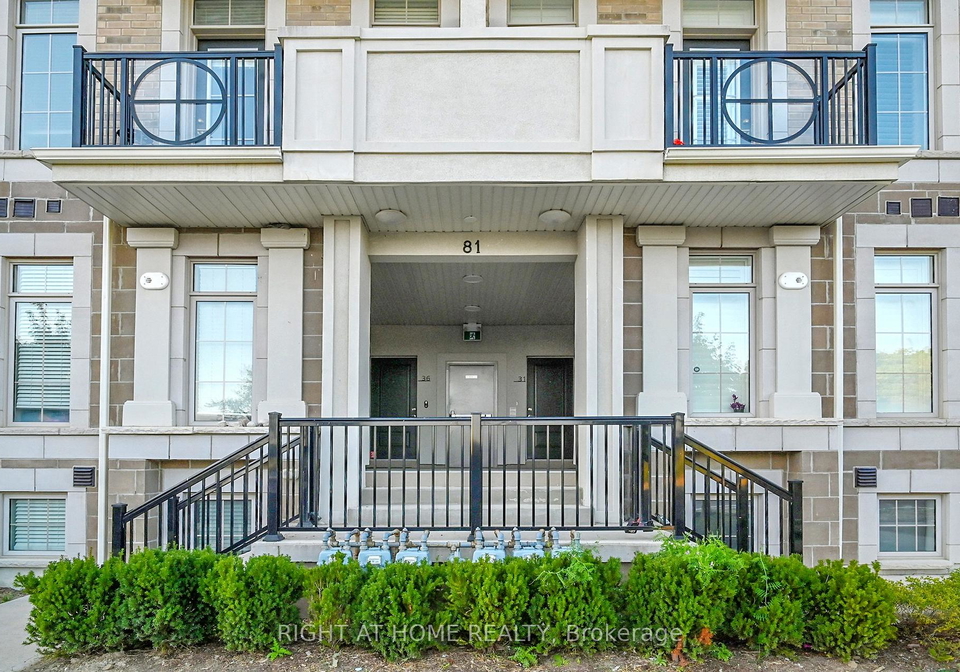 81-armdale-road-mississauga-ontario-w12647660
