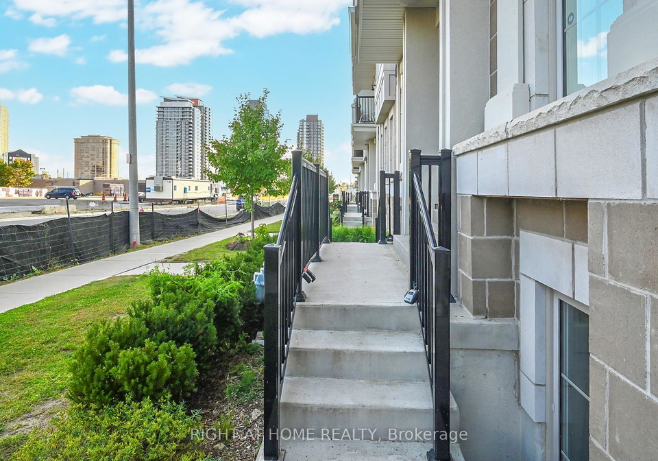 81-armdale-road-mississauga-ontario-w12647660