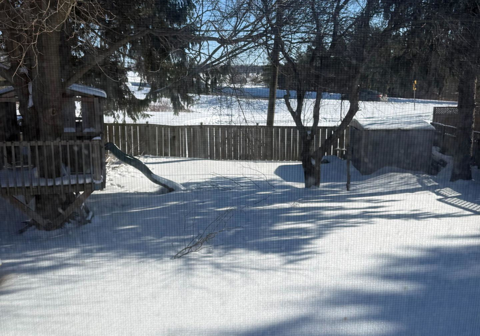 131-edelwild-drive-orangeville-ontario-w12659632