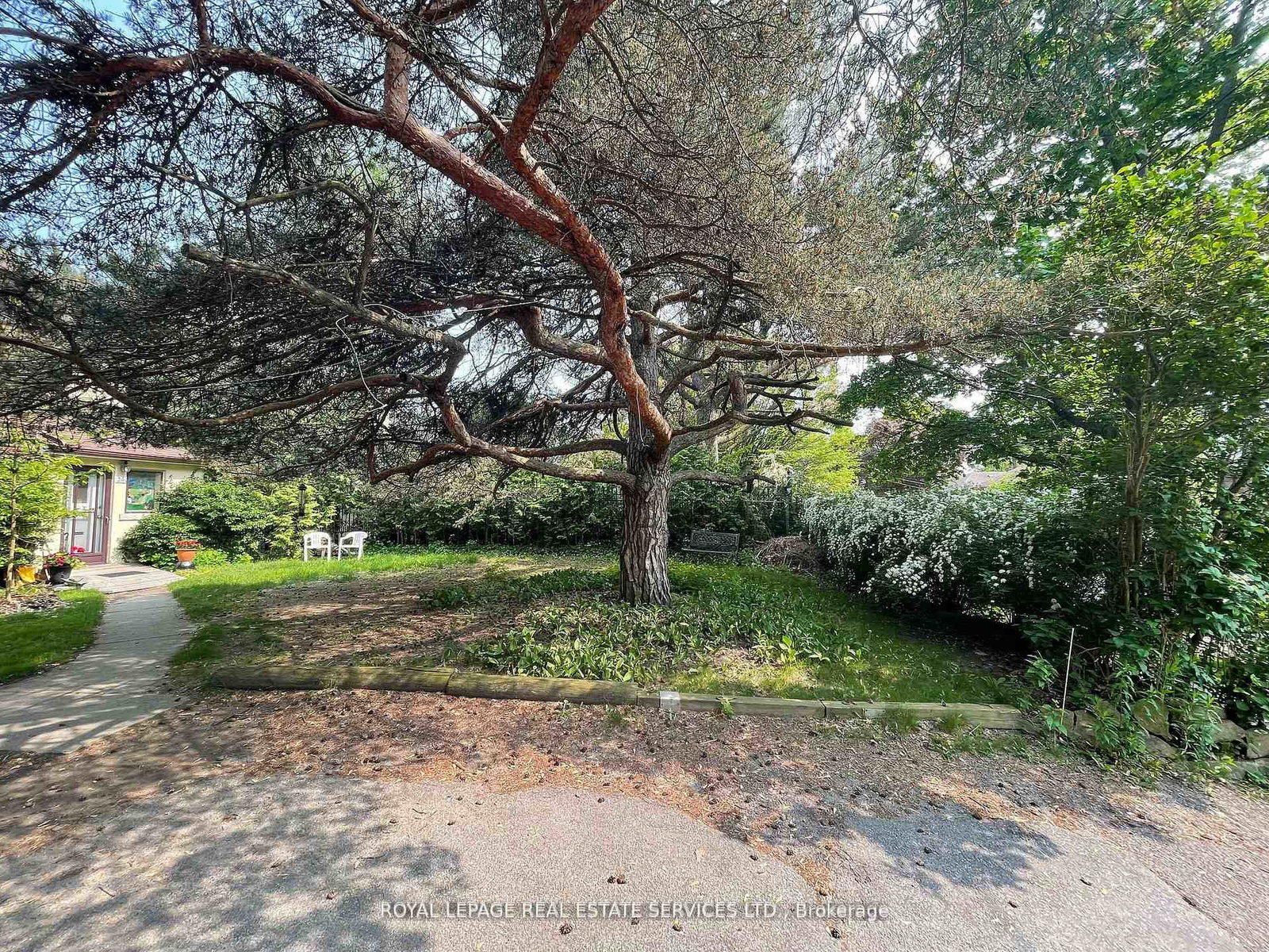 239-ellis-avenue-toronto-ontario-w12661716