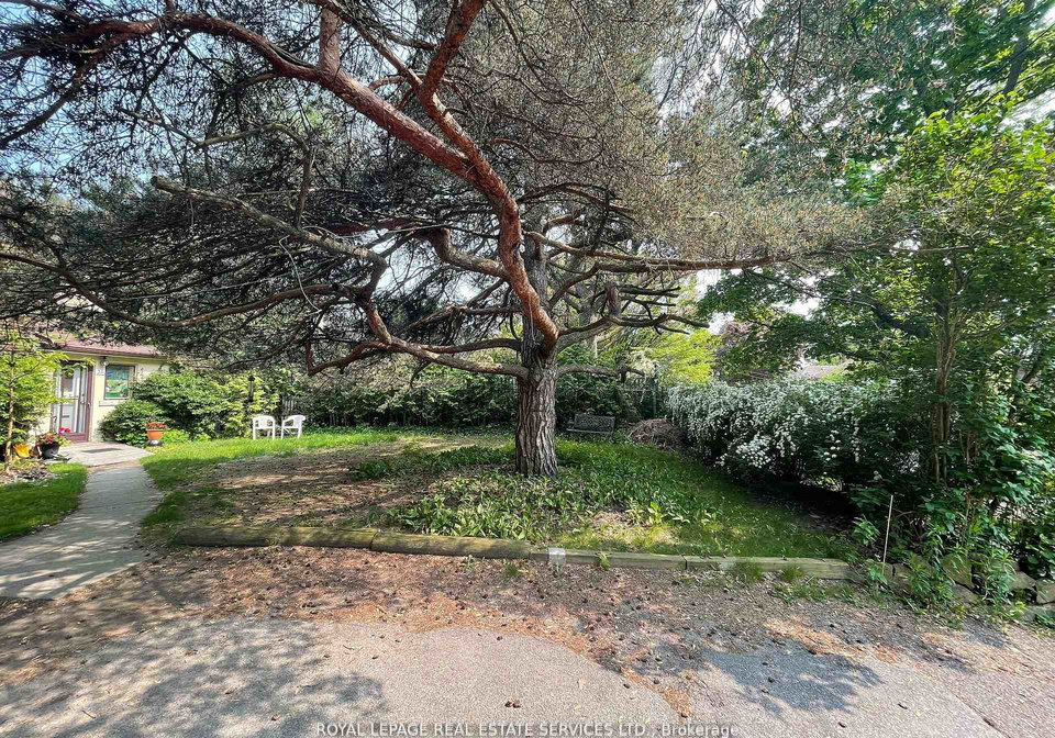 239-ellis-avenue-toronto-ontario-w12661716