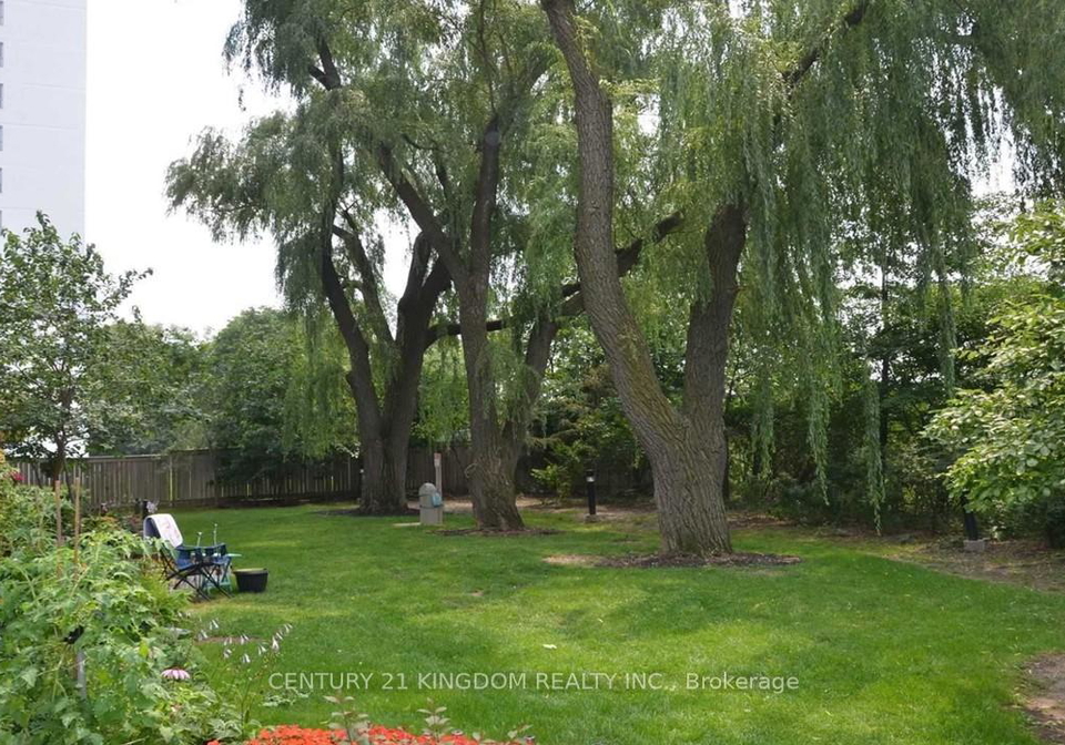 2464-weston-road-north-york-ontario-w12663866