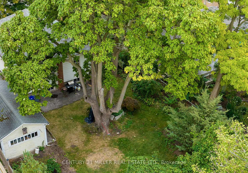 258-reynolds-street-oakville-ontario-w12668896