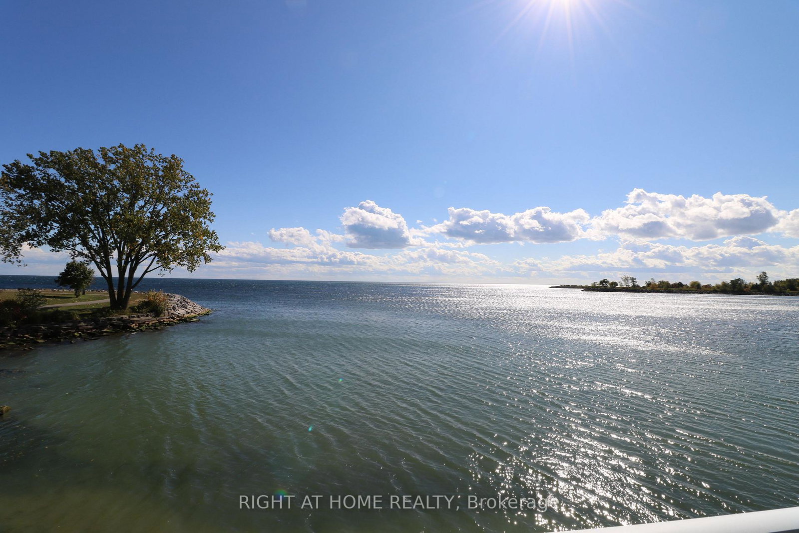 7-eleventh-street-etobicoke-ontario-w12672948