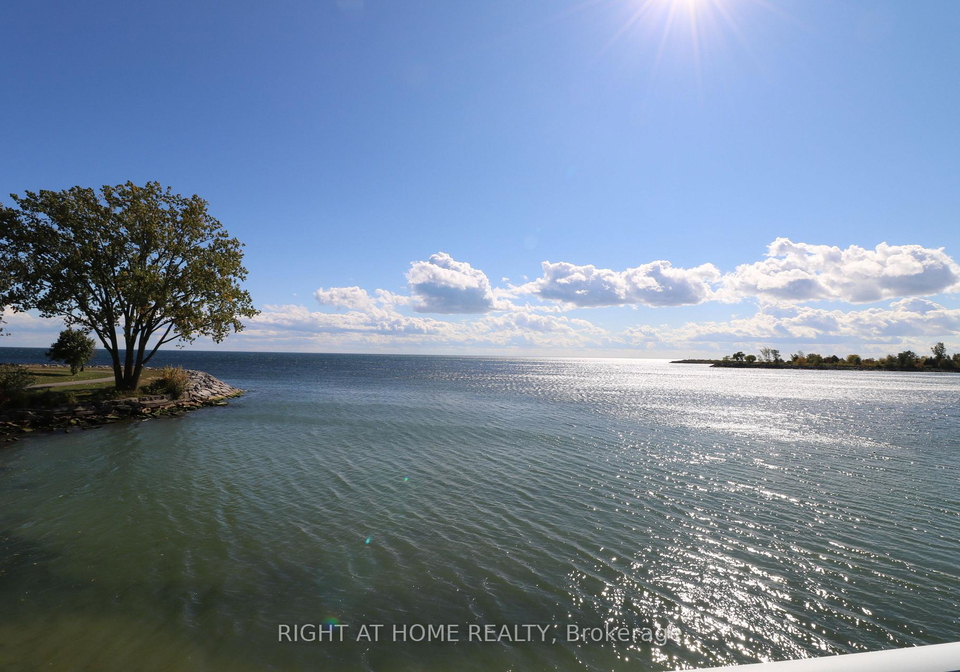 7-eleventh-street-etobicoke-ontario-w12672948