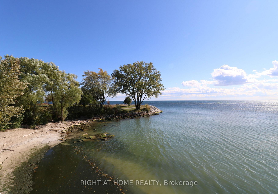 7-eleventh-street-etobicoke-ontario-w12672948