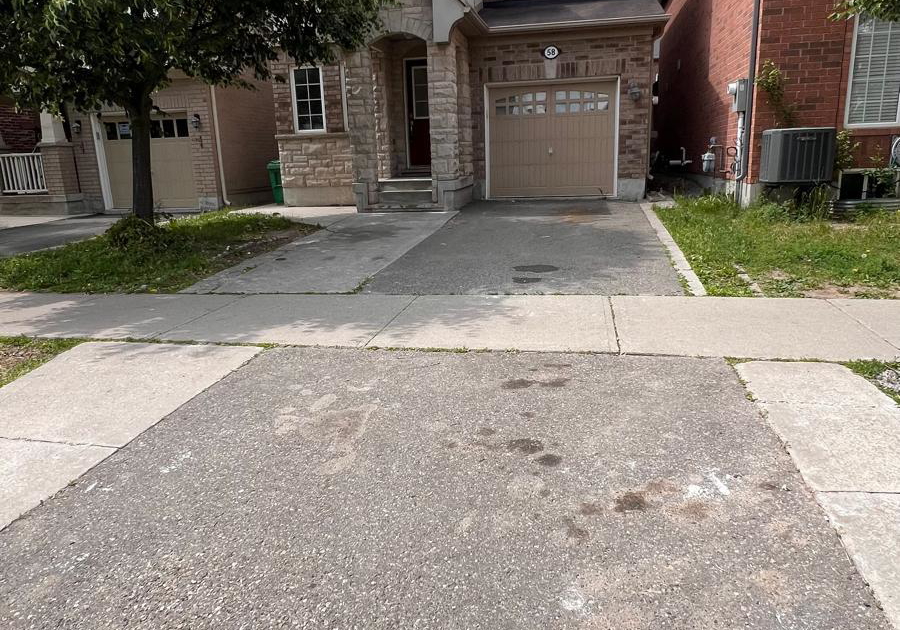 58-bleasdale-avenue-brampton-ontario-w12678530