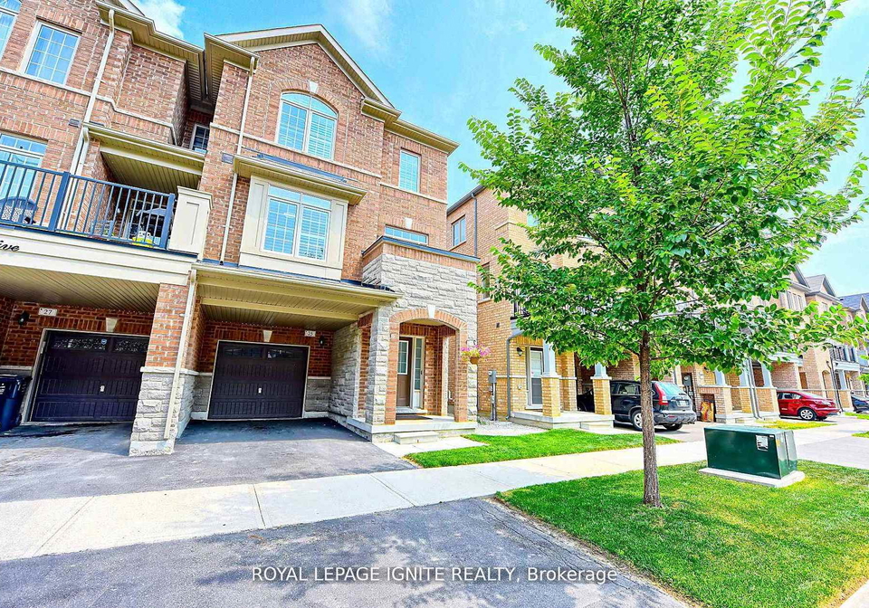 25-haymarket-drive-brampton-ontario-w12682990