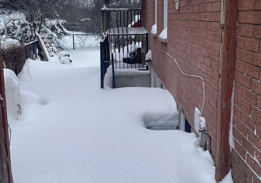 42-napanee-street-brampton-ontario-w12693946