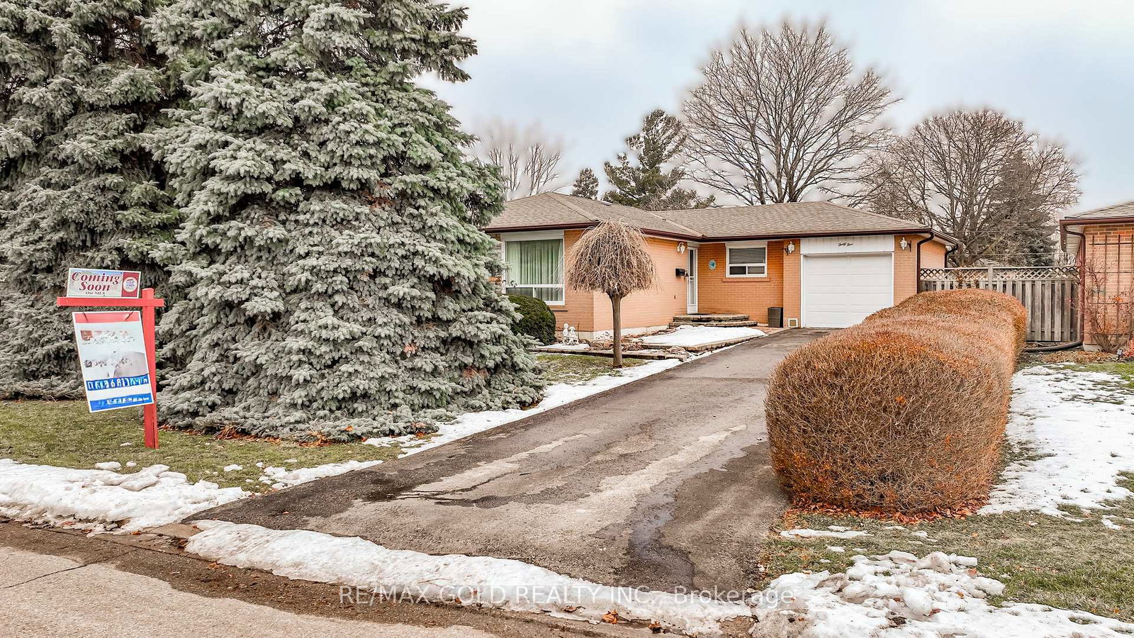 45-belmont-drive-brampton-ontario-w12694920