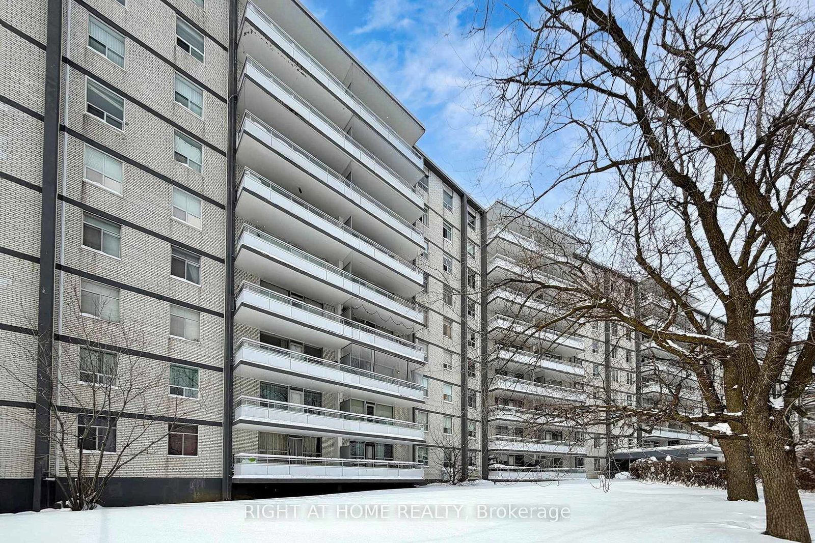 3460-keele-street-york-ontario-w12706504