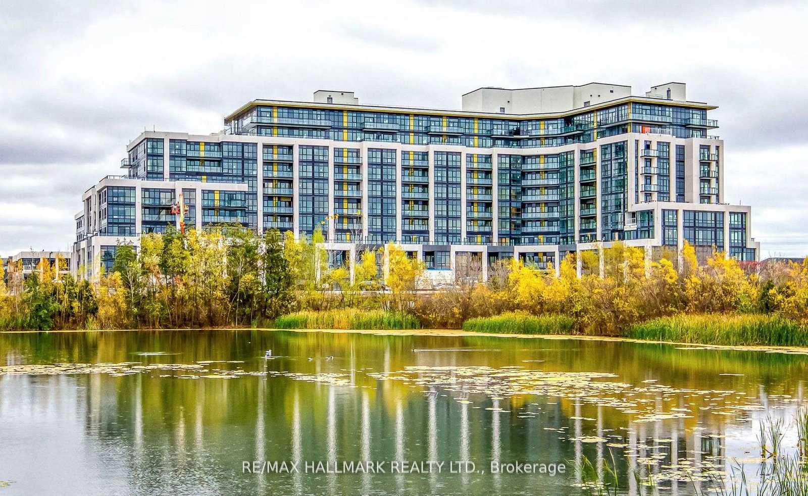 405-dundas-street-w-oakville-ontario-w12711488
