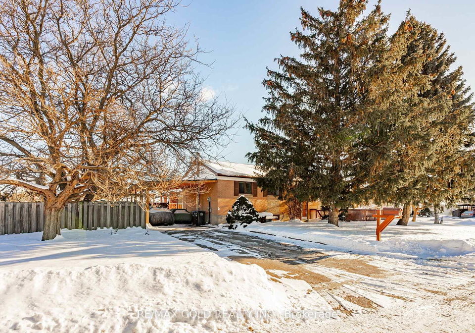 39-epsom-downs-drive-brampton-ontario-w12747888