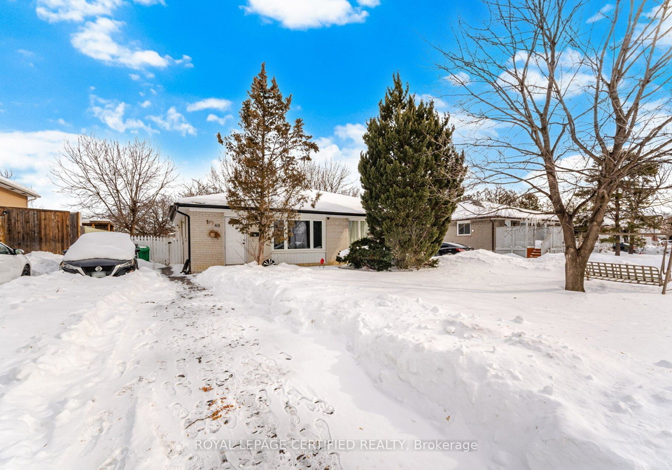48-davenport-crescent-brampton-ontario-w12769542