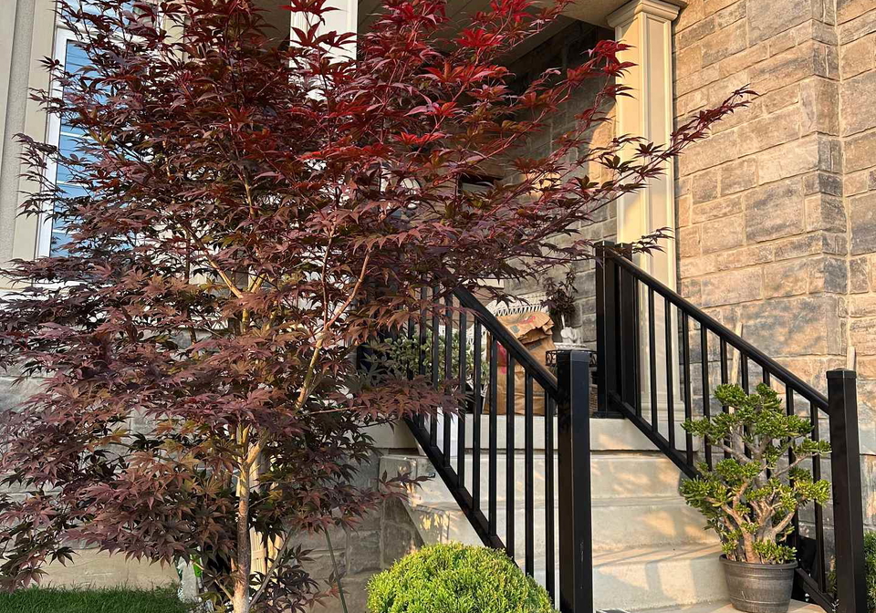 4011-sixth-line-oakville-ontario-w12784680