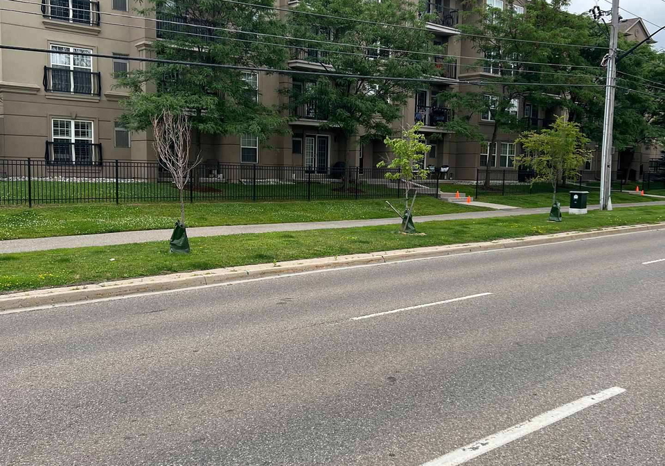 1360-main-street-e-milton-ontario-w12801480