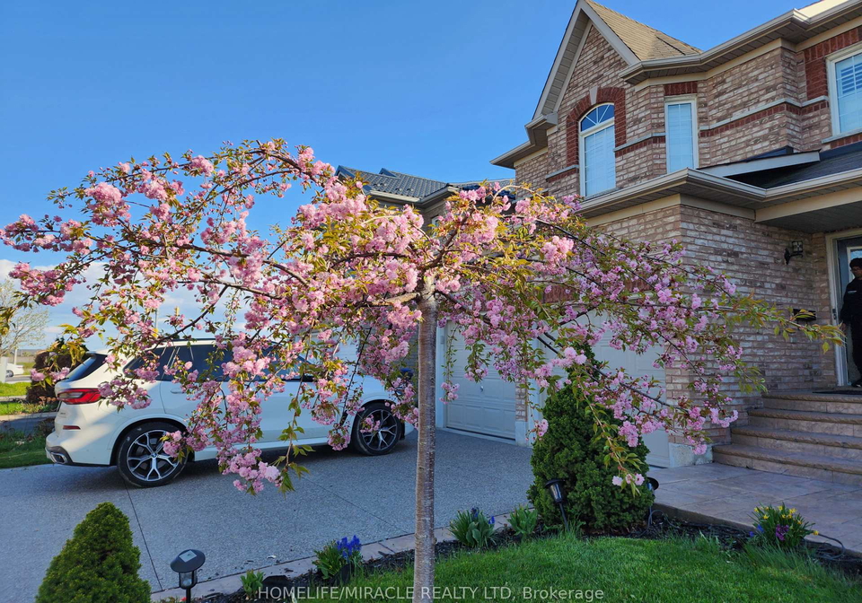 89-pertosa-drive-brampton-ontario-w12809434