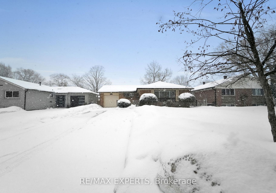 19-burgby-avenue-brampton-ontario-w12814616
