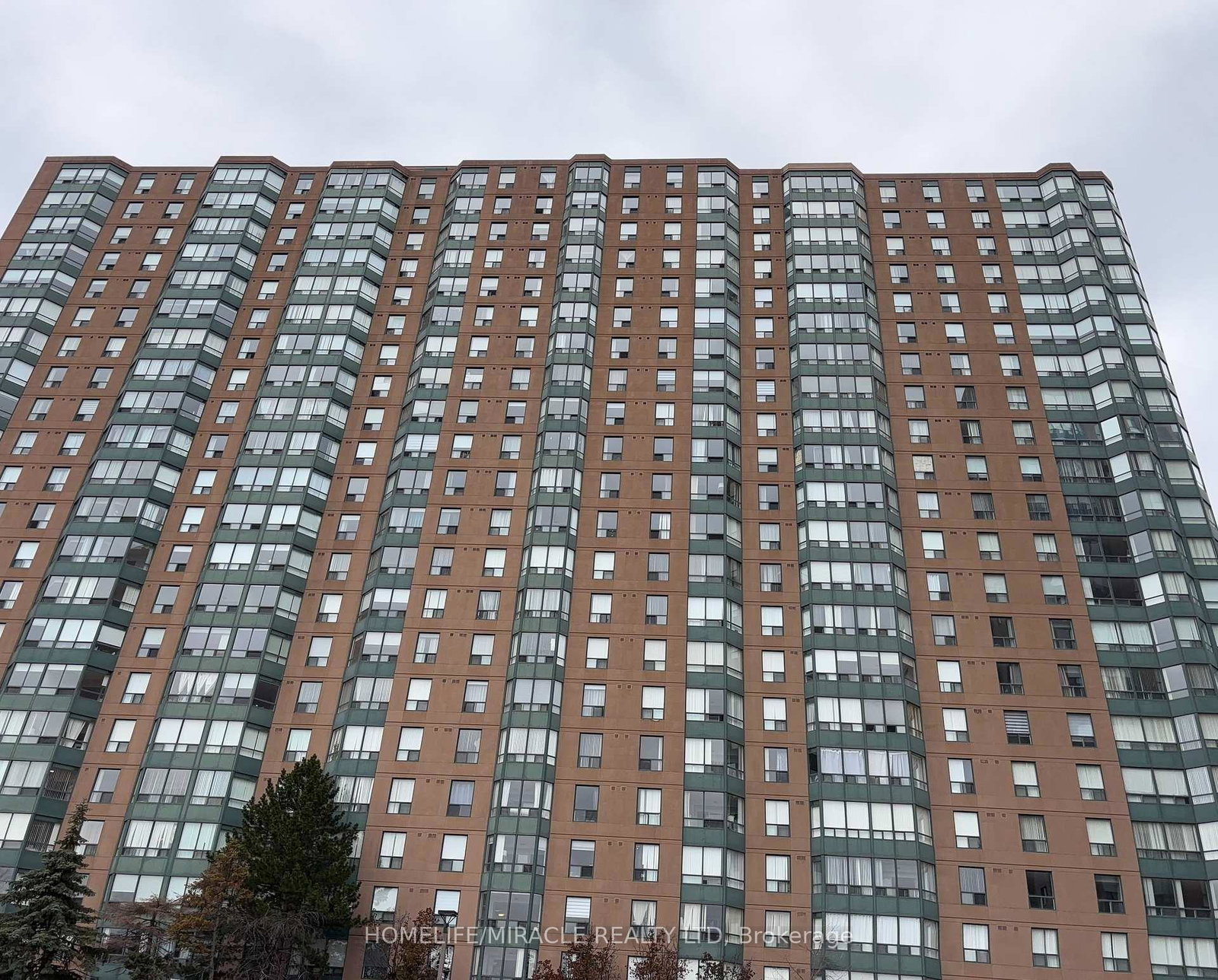 135-hillcrest-avenue-mississauga-ontario-w12823474