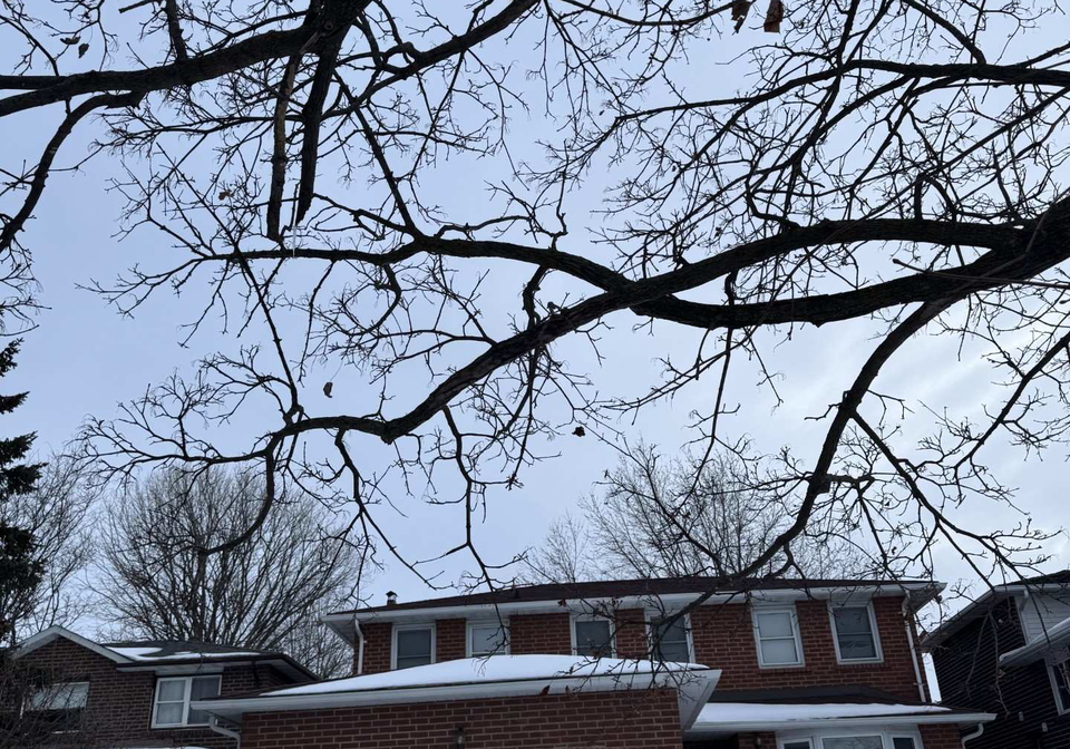 58-braidwood-lake-road-brampton-ontario-w12826708