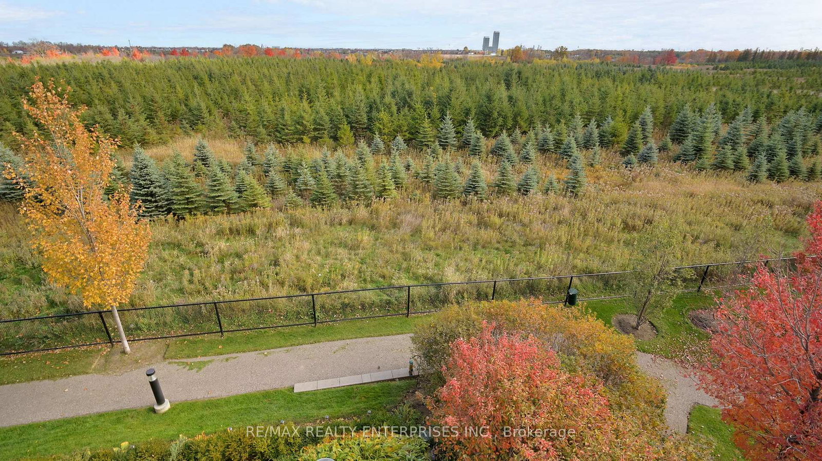 65-yorkland-boulevard-brampton-ontario-w12841084