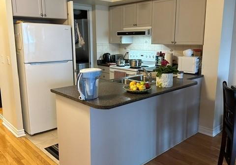33-elm-drive-mississauga-ontario-w12862598