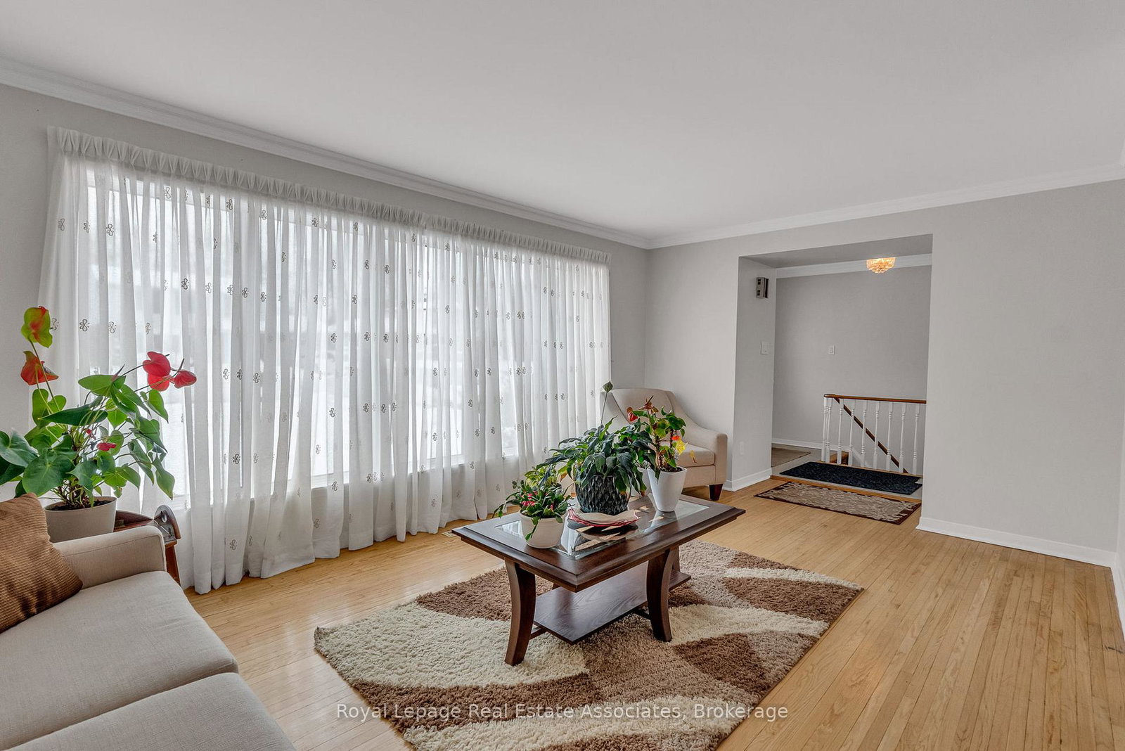 56-brookland-drive-brampton-ontario-w12877210