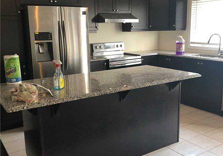 102-benhurst-crescent-brampton-ontario-w12897104