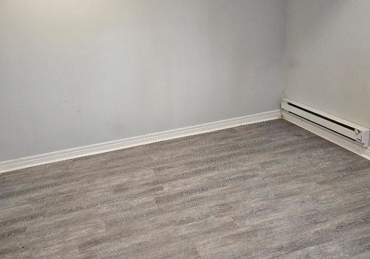 223-fairview-avenue-toronto-ontario-w12917502