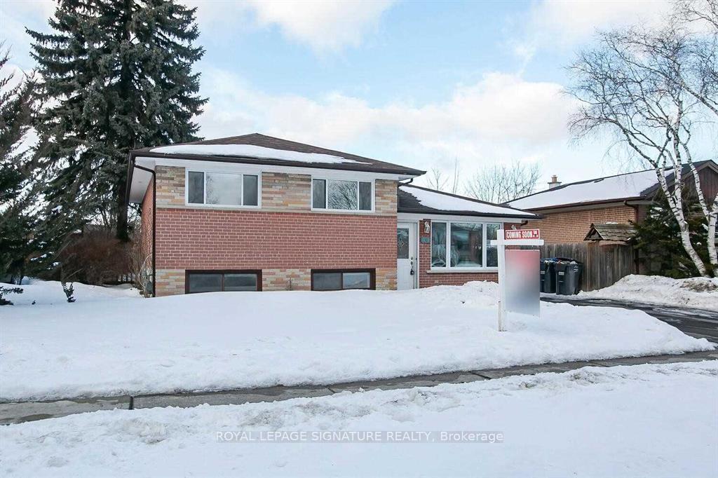 26-horwood-drive-brampton-ontario-w12925244
