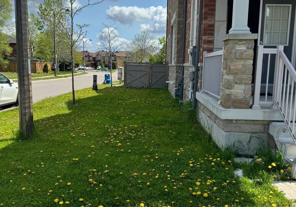 80-hollowgrove-boulevard-brampton-ontario-w12941780