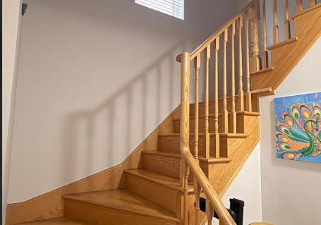 46-delambray-street-brampton-ontario-w12946736