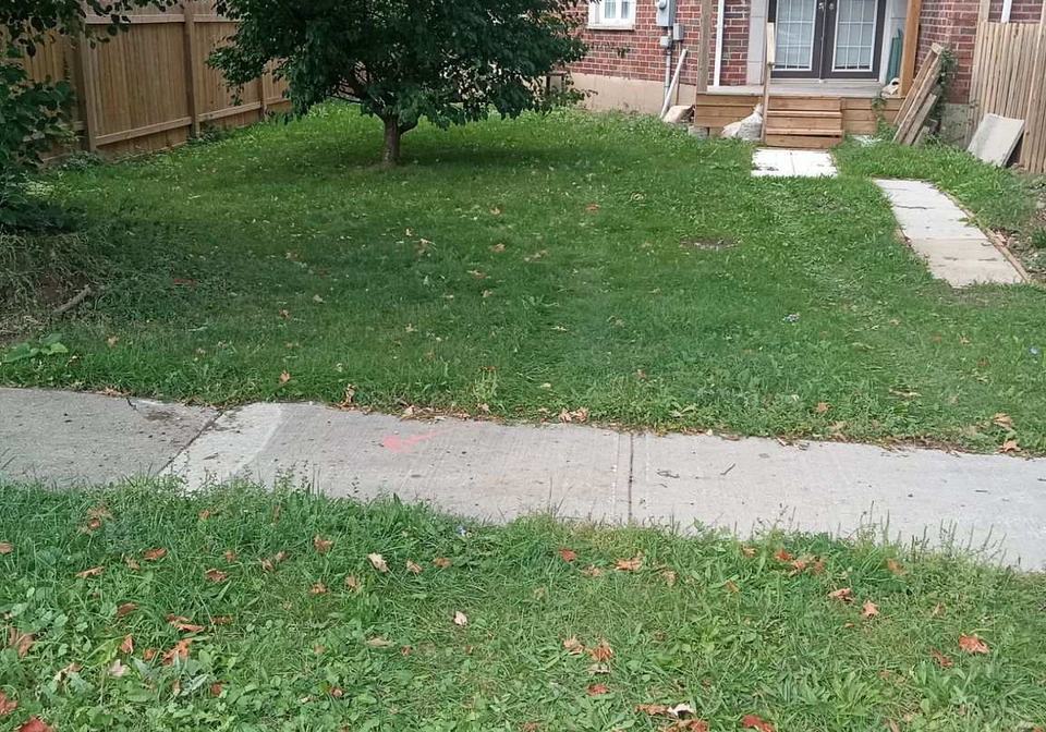17-joseph-street-brampton-ontario-w12952186