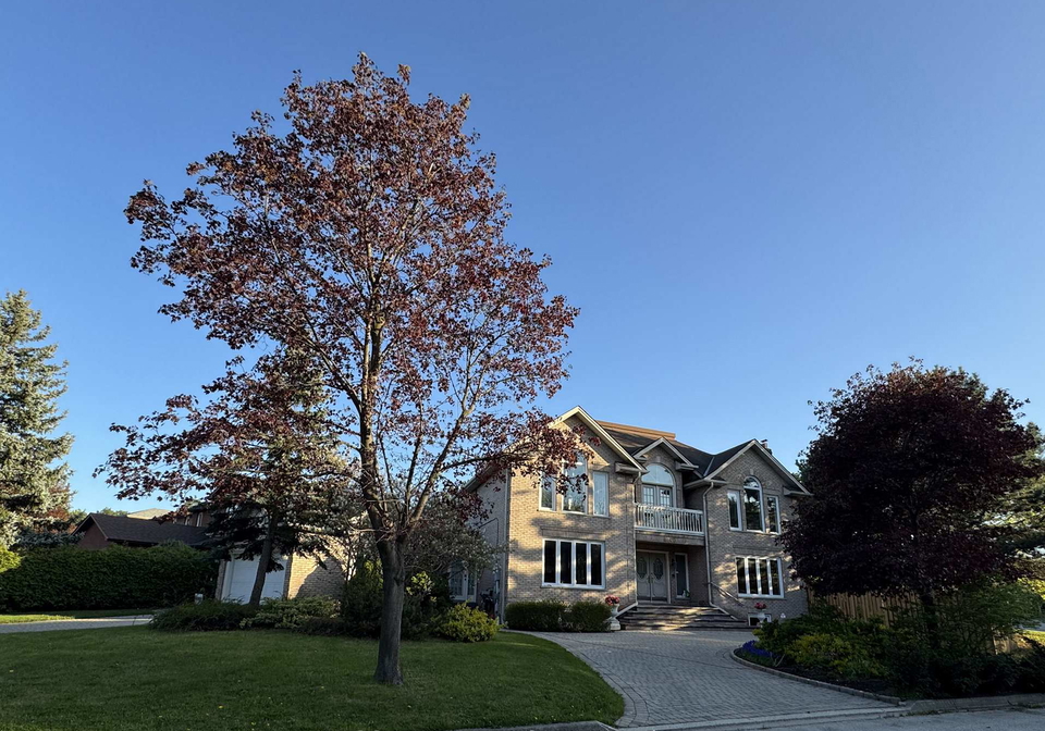 4040-lookout-court-mississauga-ontario-w12955636