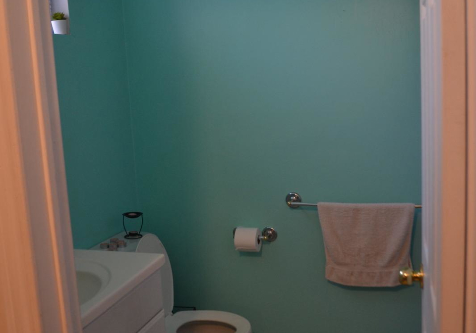 1165-ogden-avenue-mississauga-ontario-w12965324